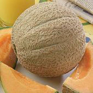 Hearts of Gold Cantaloupe