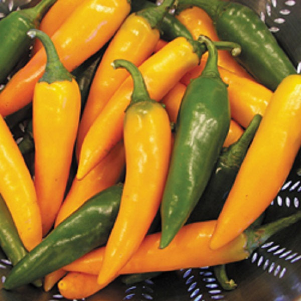 Bulgarian Carrot Hot Pepper Seeds