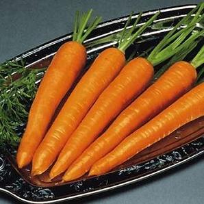 Imperator Carrot
