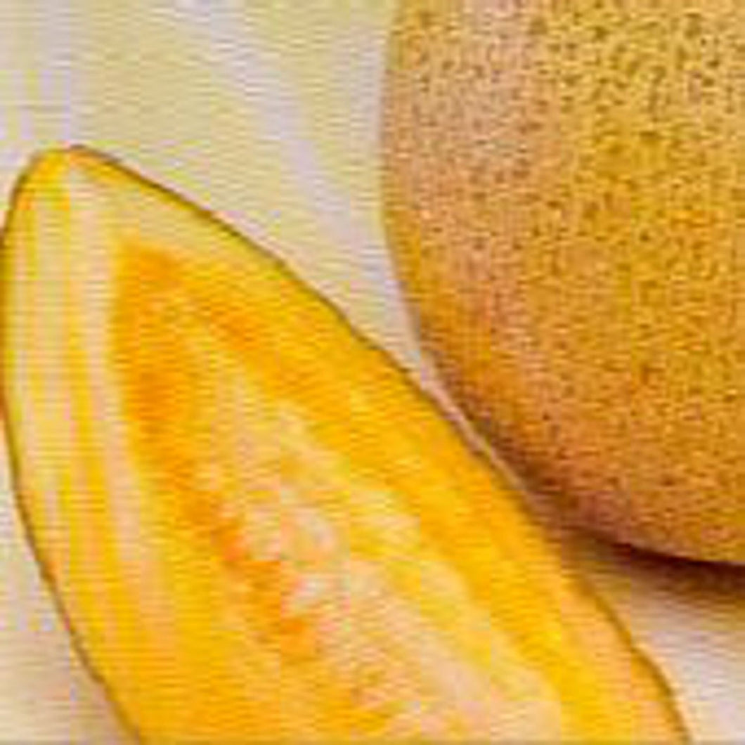 Imperial 45 Cantaloupe