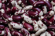 Jacobs Cattle Bush Bean Seeds