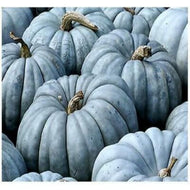 Jerrahdale Pumpkin Seeds