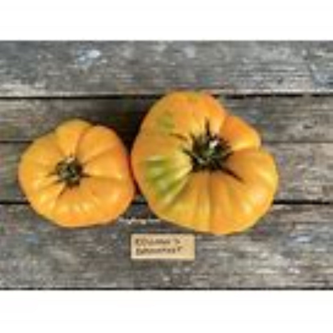 Kellogg's Breakfast Tomato Seeds