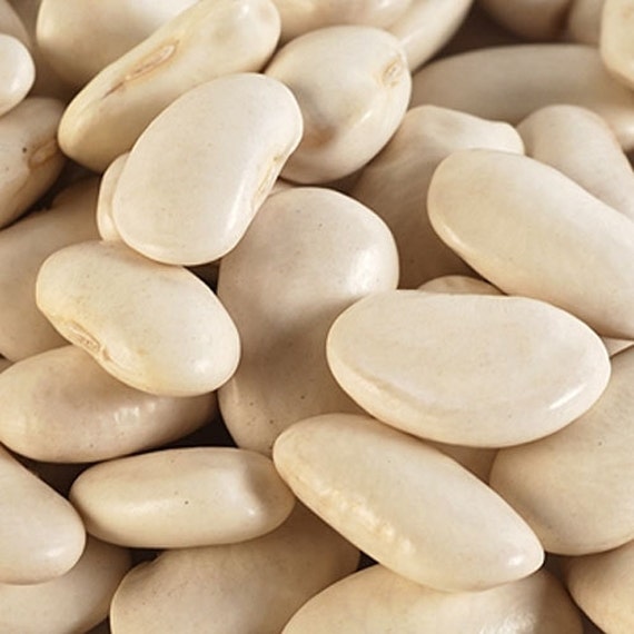 King of the garden white Bean Seeds