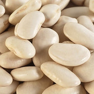 King of the garden white Bean Seeds