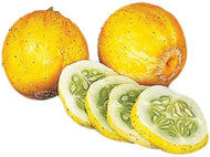 Lemon Cucumber