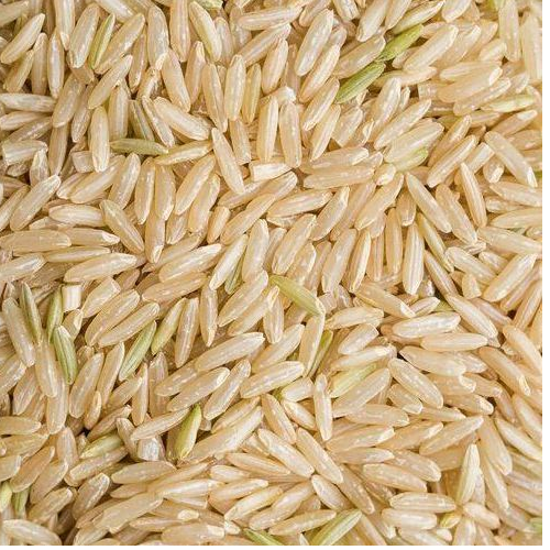 Long Grain Rice Seeds