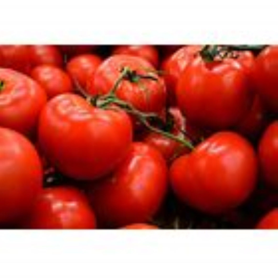 Moneymaker Tomato Seeds