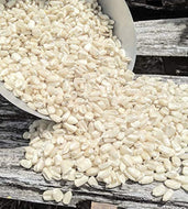 Mosby Prolific Corn Seeds 1 lb.