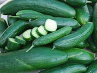 Muncher Pickling Cucumber