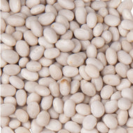 1/2 lb. White Navy Bean Seeds