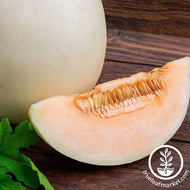 Orange Flesh Honeydew