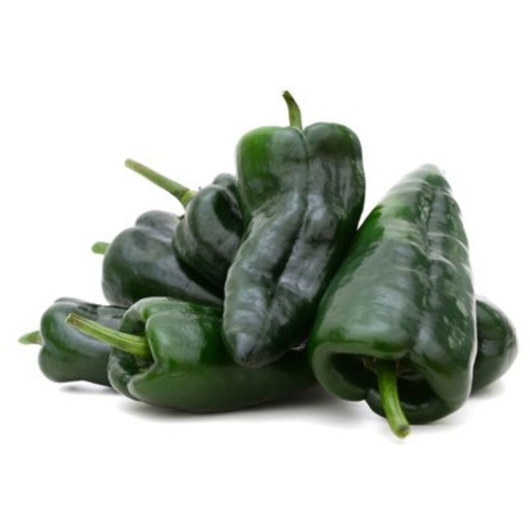 Pablano Hot Pepper Seeds
