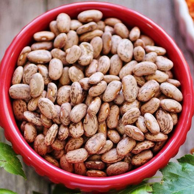 1/2 lb. Pinto Bean Seeds