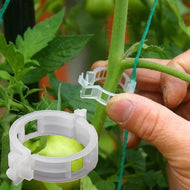 50 pcs Plastic Plant Clips, Supports Connects, Reusable Protection Grafting Fixing Tool, Gardening Supplies For Vegetable