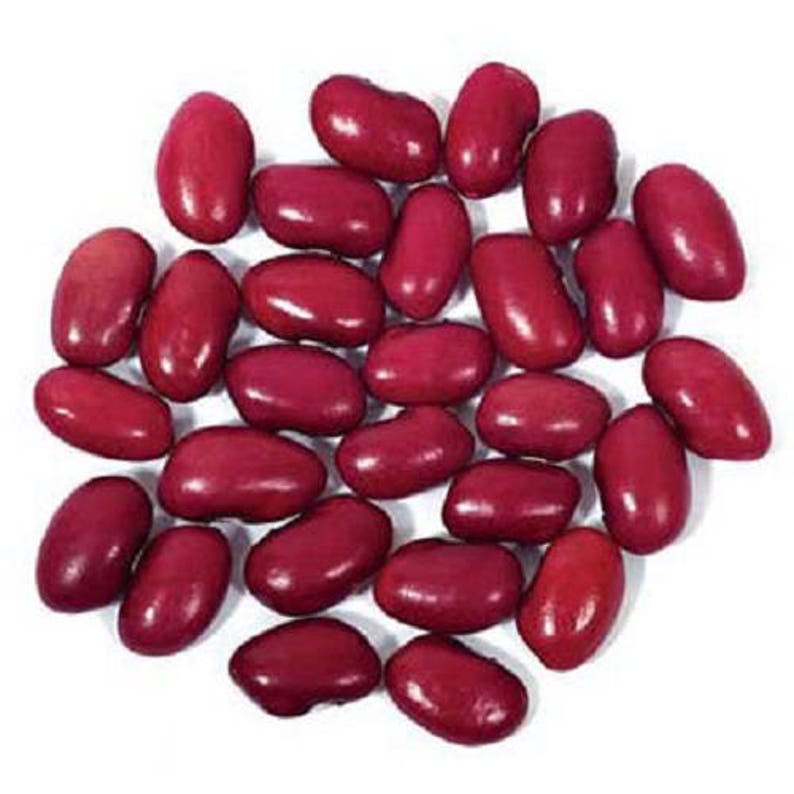 1 lb. Red KIdney Bean Seeds