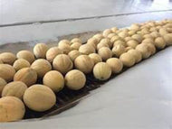 Rocky Ford Cantaloupe