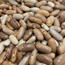 Load image into Gallery viewer, Royal Burgandy Purple Pod Bush Seeds
