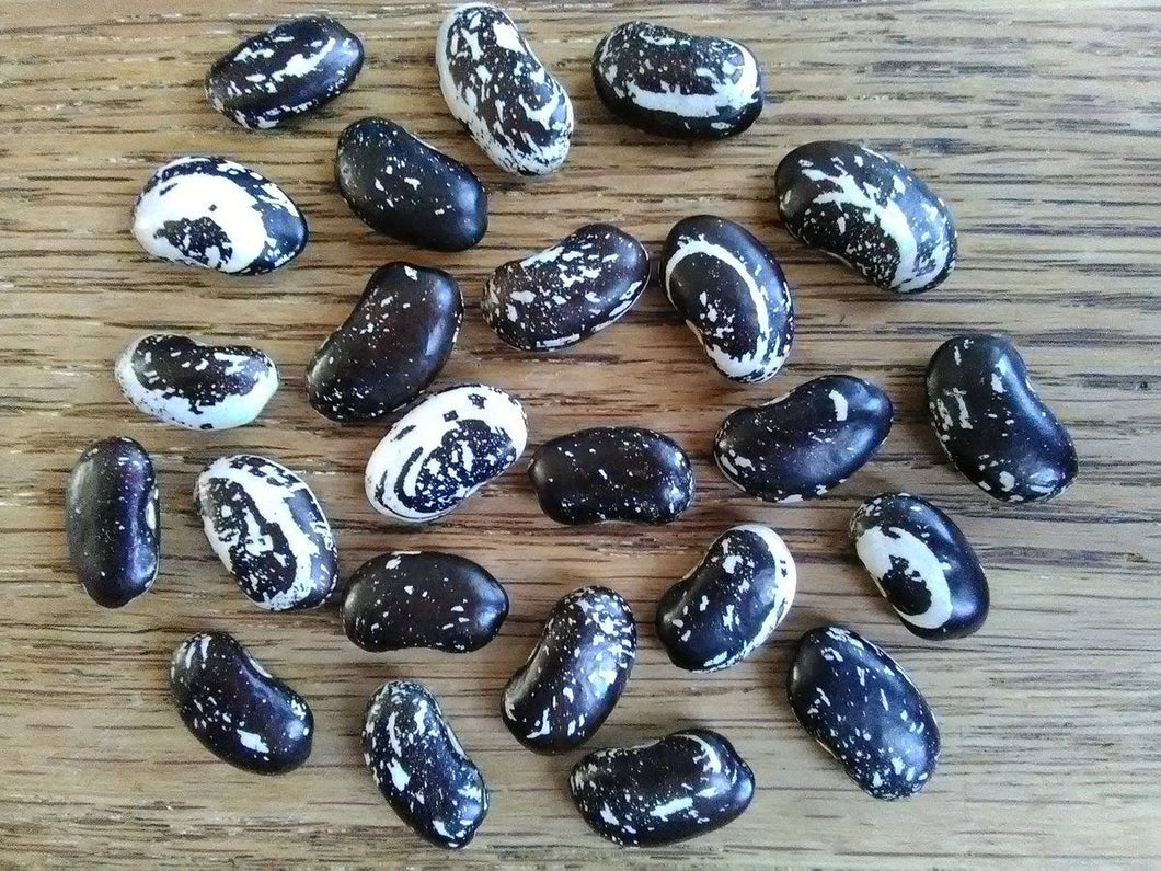 Skunk Beans Seeds