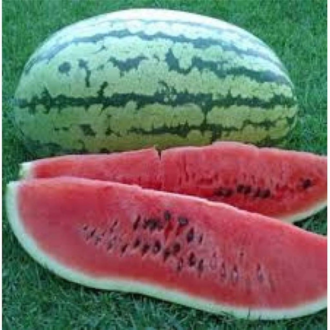 Striped Klondike Ribbon Watermelon