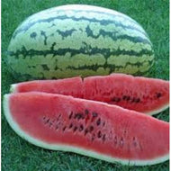 Striped Klondike Ribbon Watermelon