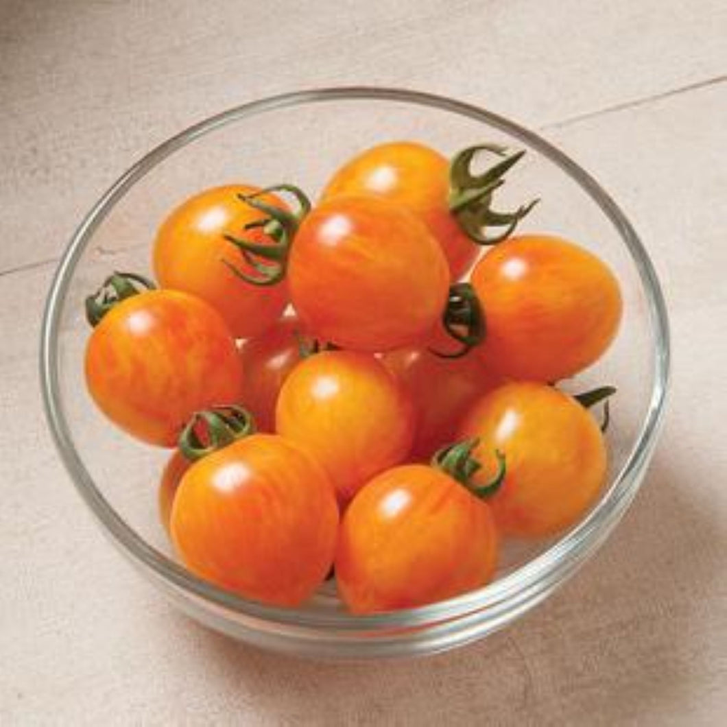 Bumblebee Sunrise Tomato Seeds