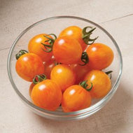 Bumblebee Sunrise Tomato Seeds