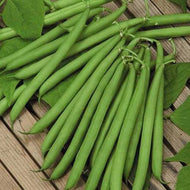Top Crop Bush Bean Seeds
