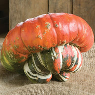 Turks Turbanl Gourd Seeds
