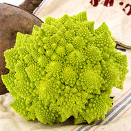 Veronica Cauliflower Seeds
