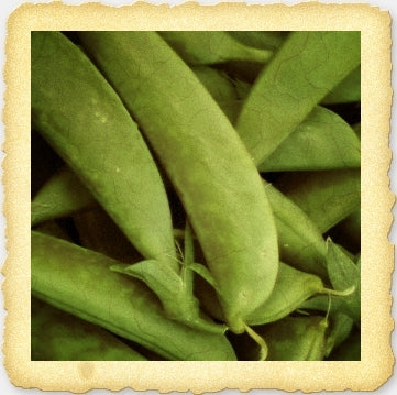 Wando English Pea Seeds