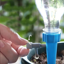 Load image into Gallery viewer, Set of 10 Automatic Waterers for your plants.
