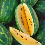 Yellow Sweet Gem Watermelon