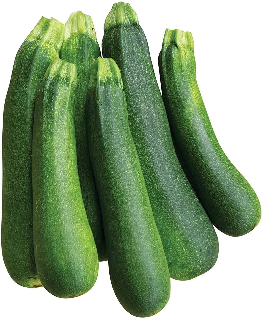 Dark Green Zucchini Squash
